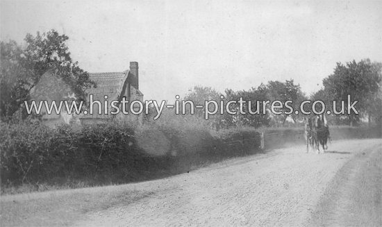The Village, Lt Saling, Essex. c.1912